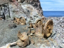 whiteisland (59)